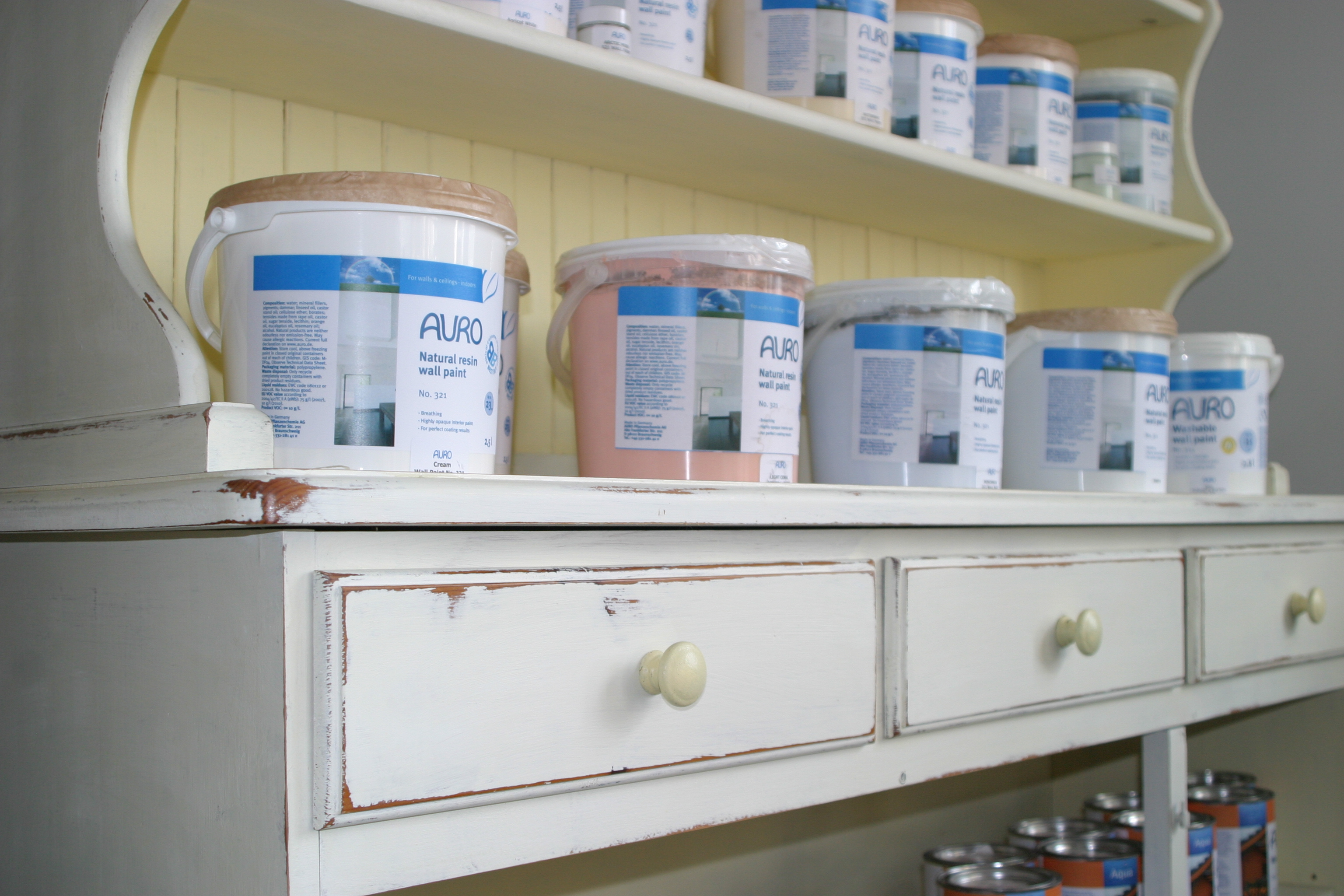 Auro Paint display img-4146.jpg