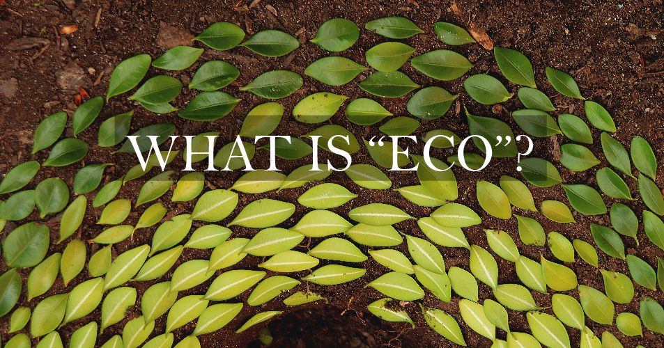 What Is Eco >> What Is Eco Celtic Sustainables What Is Eco >> What Is Eco Celtic Sustainables