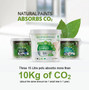 15L of Graphenstone Ecosphere paint absorbs more than 10Kg of Carbon Dioxide (about the same amount as an adult tree does in 1 year).