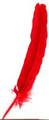 Quill Feather Pen Red 11"