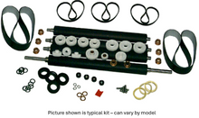 Typical rebuild kit - may vary by model