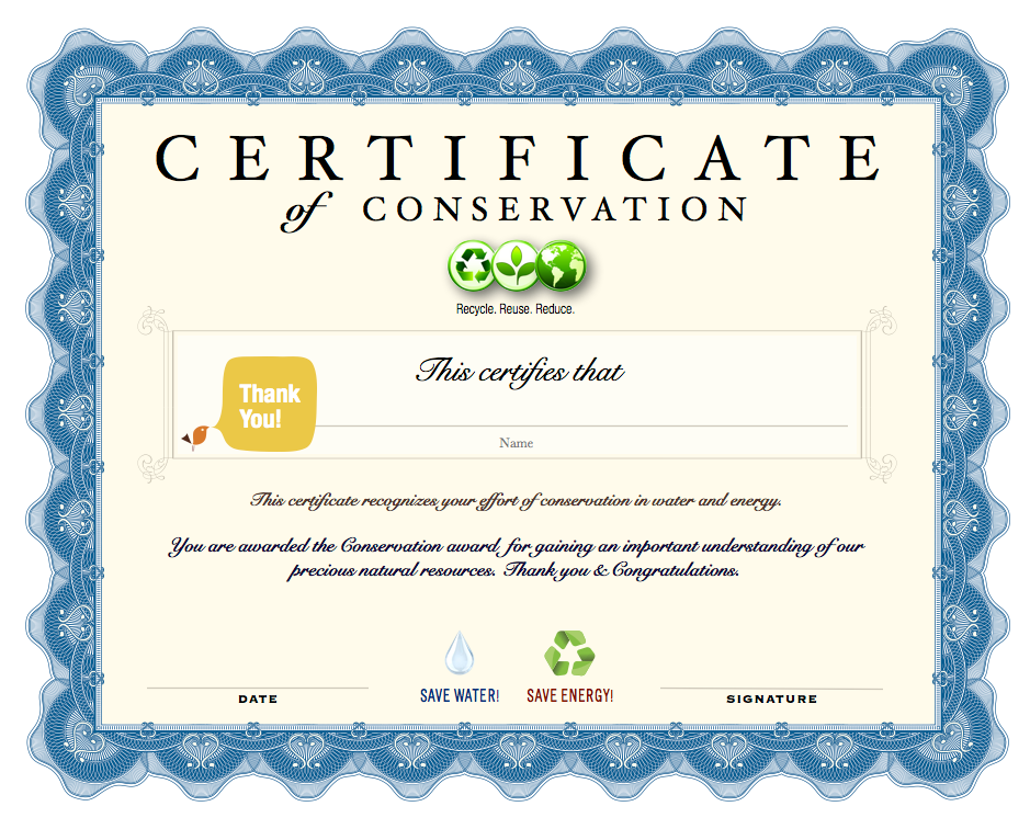 student green conservation achievement certificate child earth child award certificates