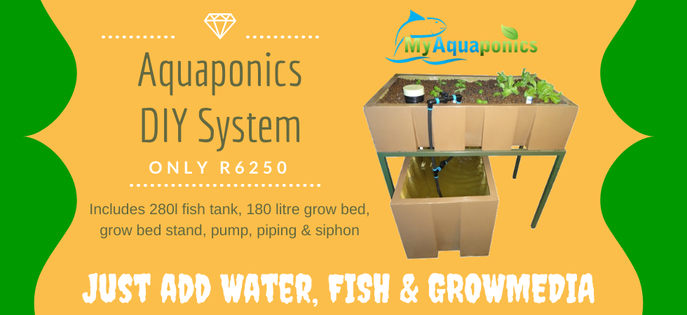 Aquaponics And Hydroponics Equipment And Diy Solutions By