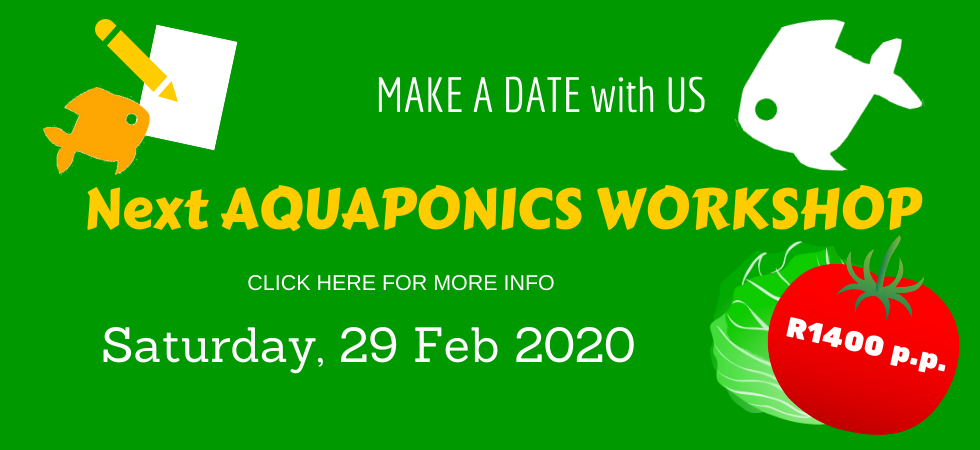 aquaponics and hydroponics equipment and diy solutions by