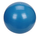 Core Strengthening Exercise Ball