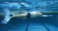 Lane Gainer Competitive Swim Belt : 30 ft. model - Resisted Swim pictured. Water-snake™ $52.50