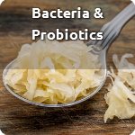 Bacteria and Probiotics