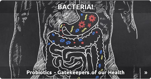 Bacteria!