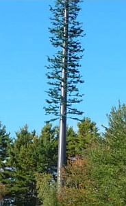 Cell tower tree