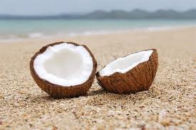 Our coconut ice creams are made with raw coconut