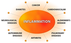 Inflammation and its effects