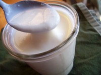 Getting Started with Fermented Foods: Cultured Dairy