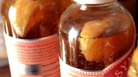Getting Started with Fermented Foods: Kombucha