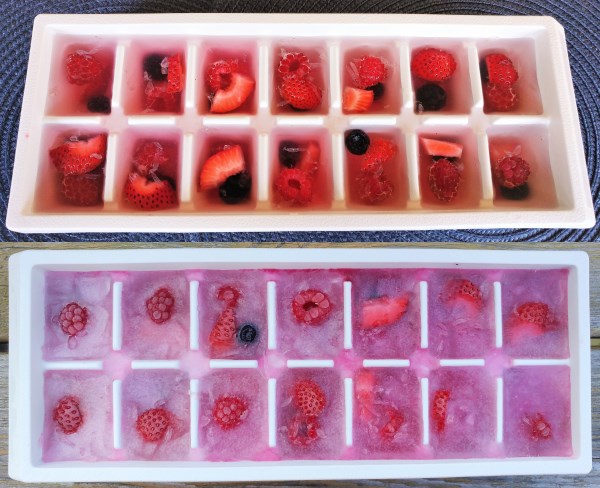 DIY Fruit Ice Cubes - Celiac Mama