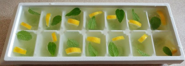 DIY Fruit Ice Cubes - Celiac Mama