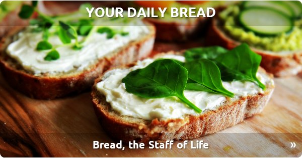 Your Daily Bread