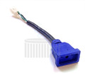 This adapter cord allows you to plug-and-play old Sundance Spas with Molex plug - this plug is 120V