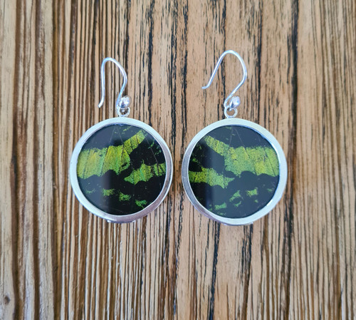 Nine50 Butterfly Earrings