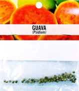 GUAVA