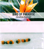 BIRD OF PARADISE