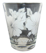 White Hibiscus