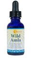 Wild Amla Herbal Memory Nectar
