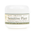 Sensitive Plant Transdermal Cream