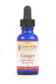Ginger Herbal Memory Nectar
