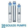 Goulds 10GS05422 Stainless Submersible Well Pump