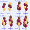 Use this chart to help determine how many balloons you would like per bouquet.