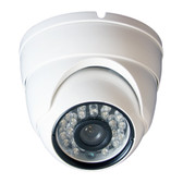 DigiHiTech - 1/3" Color 700TVL Security Dome Camera 