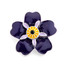Forget me not Armenian Pride Flower Brooch
