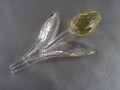 SCS 2004 Yellow Tulip
