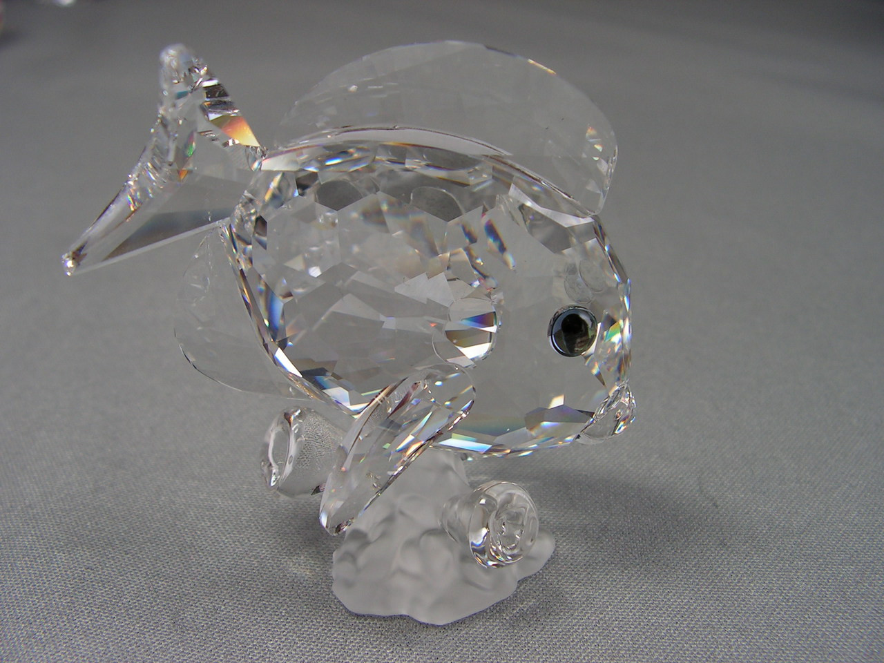 スワロフスキー   タンフィッシュクリア(Tang Fish Clear) スワロフスキー タンフィッシュクリア(Tang Fish Clear)