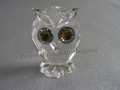 Owl, Miniature