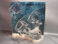 SCS 2007 Annual Edition Community (Clear) ~ SIGNED