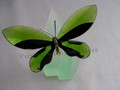Anamosa Butterfly Object with Leaf Display