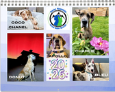 Great Dane Calendar 9x12