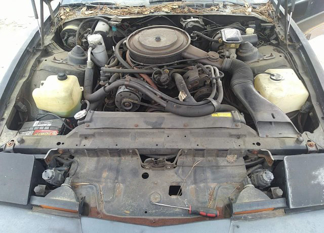 Add Performance To Your 1986 Pontiac Trans Am