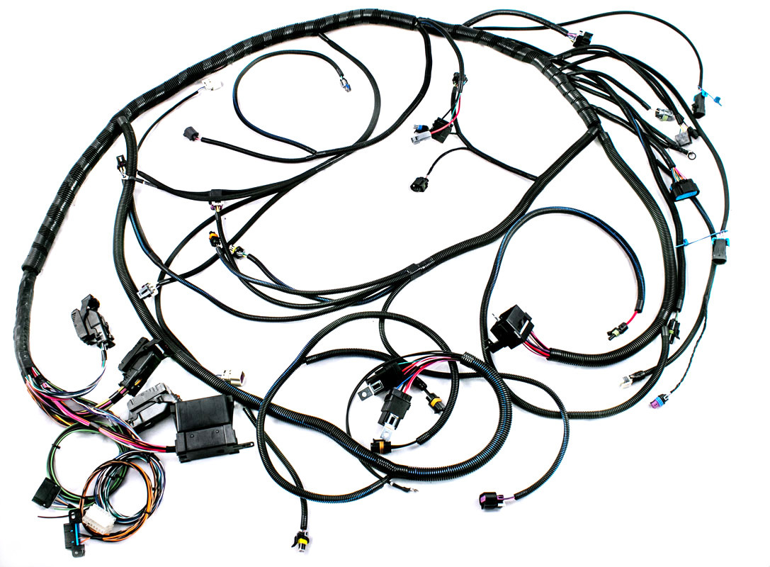 Ls Swap Wiring Harness And Computer