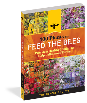 100 plants to feed the bees, front cover