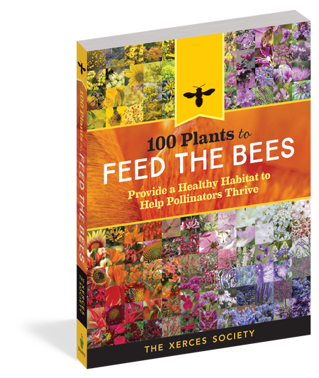 100 plants to feed the bees, front cover