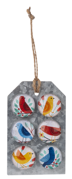 colorful bird magnet set