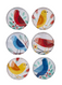colorful bird magnet set