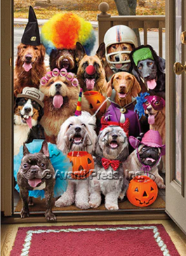 trick or treat dogs halloween card