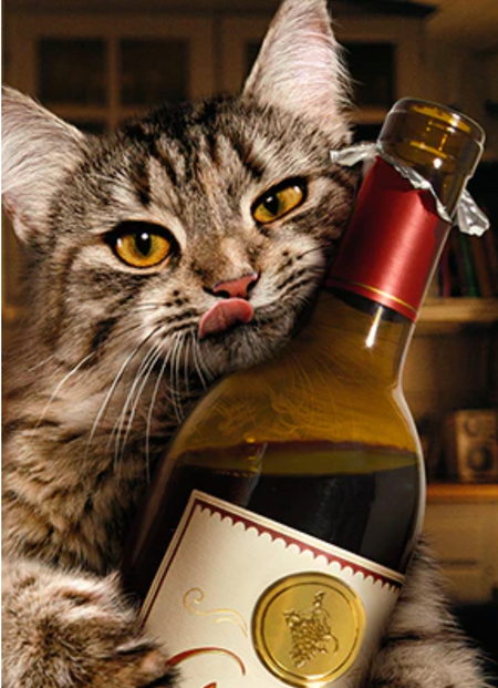 cat with wine bottle birthday card