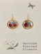 small round mixed dried flower gold earrings
