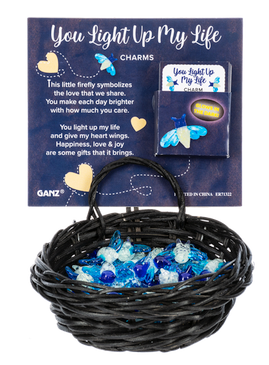 you light up my life firefly charm