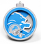 3-d detroit lions ornament