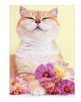 cat with flowers mother's day card